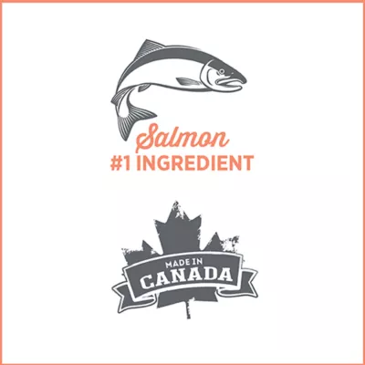 Product Nutrience Care® Sensitive Skin & Stomach Adult Dog Food