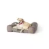KONG® Durable Lounger Dog Bed image thumbnail 1
