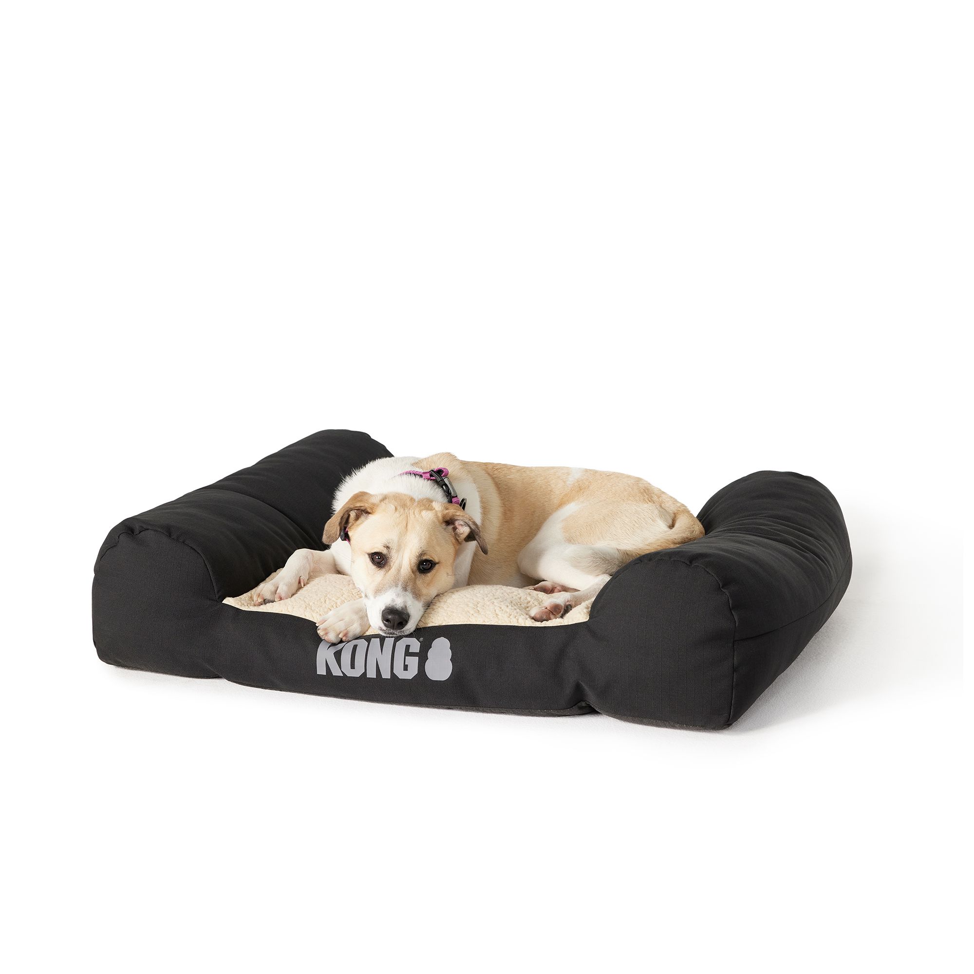 Kong best sale dog mattress