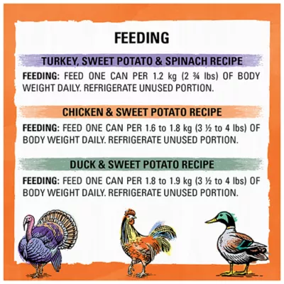 Beyond Adult Wet Cat Food - Poultry Variety Pack, 85 g x 12 - Image 10