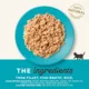 Product Applaws® Natural Kitten Food - Limited Ingredients, Natural