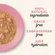 Product Applaws® Natural Cat Food Flakes in Gravy Cat Food Pouch - Grain Free, Limited Ingredients