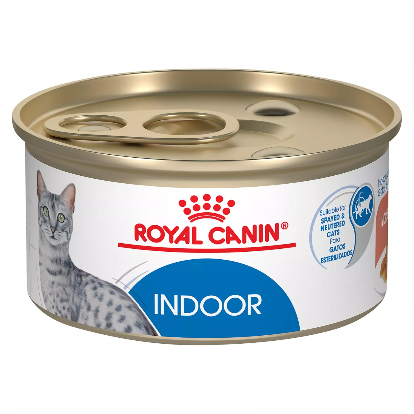 Royal Canin R Feline Health Nutrition Indoor Adult Wet Cat Food 3 oz can