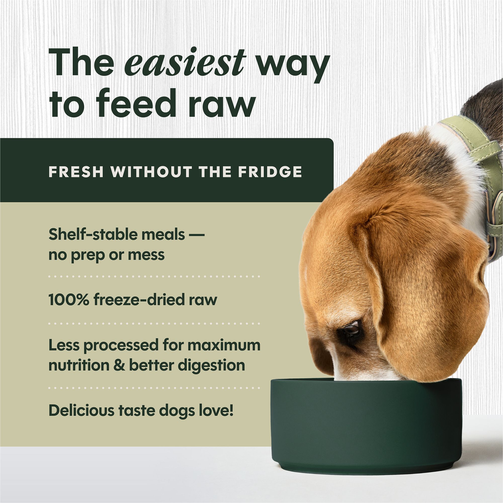 primal freeze dried dog food petsmart