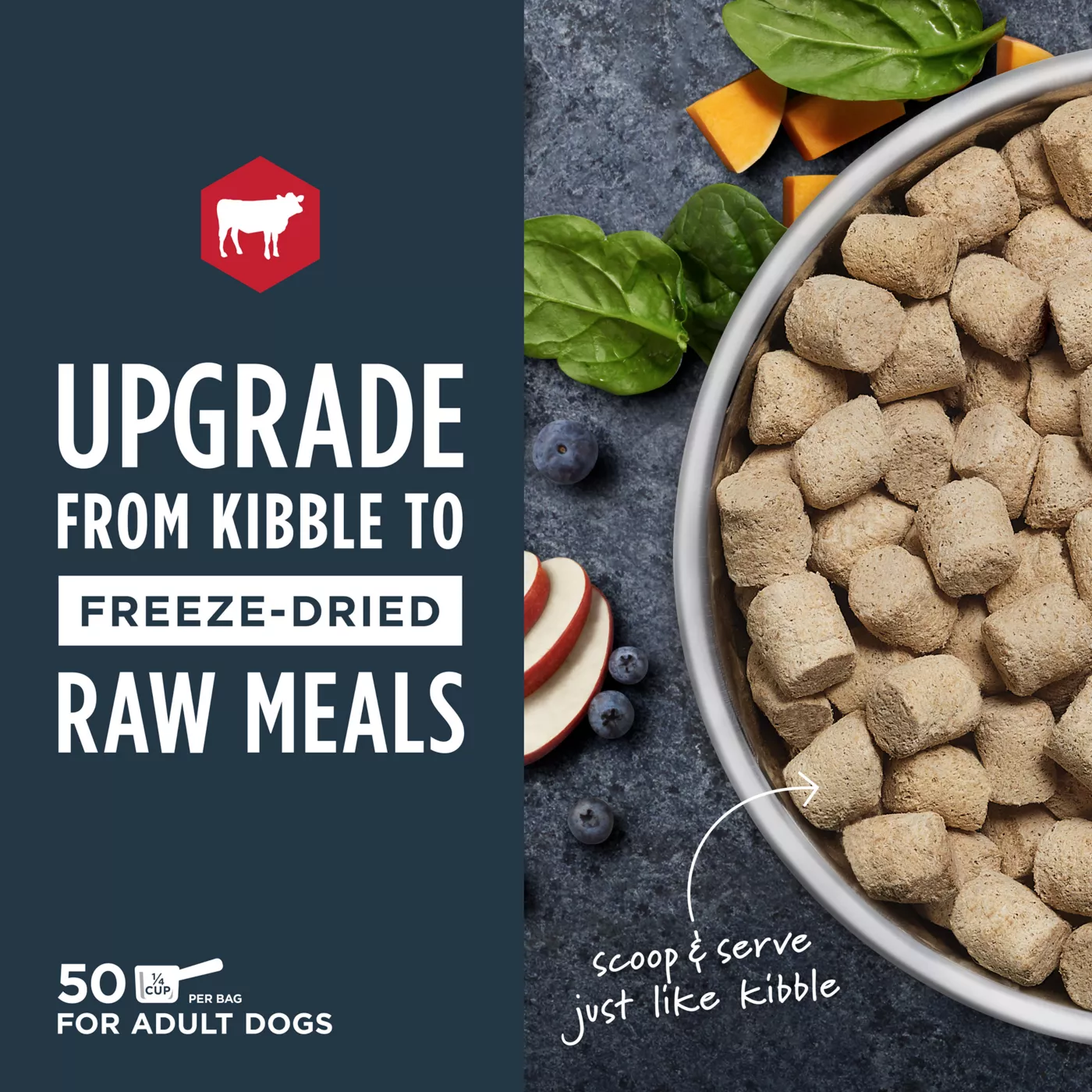 Dog food raw kibble hotsell