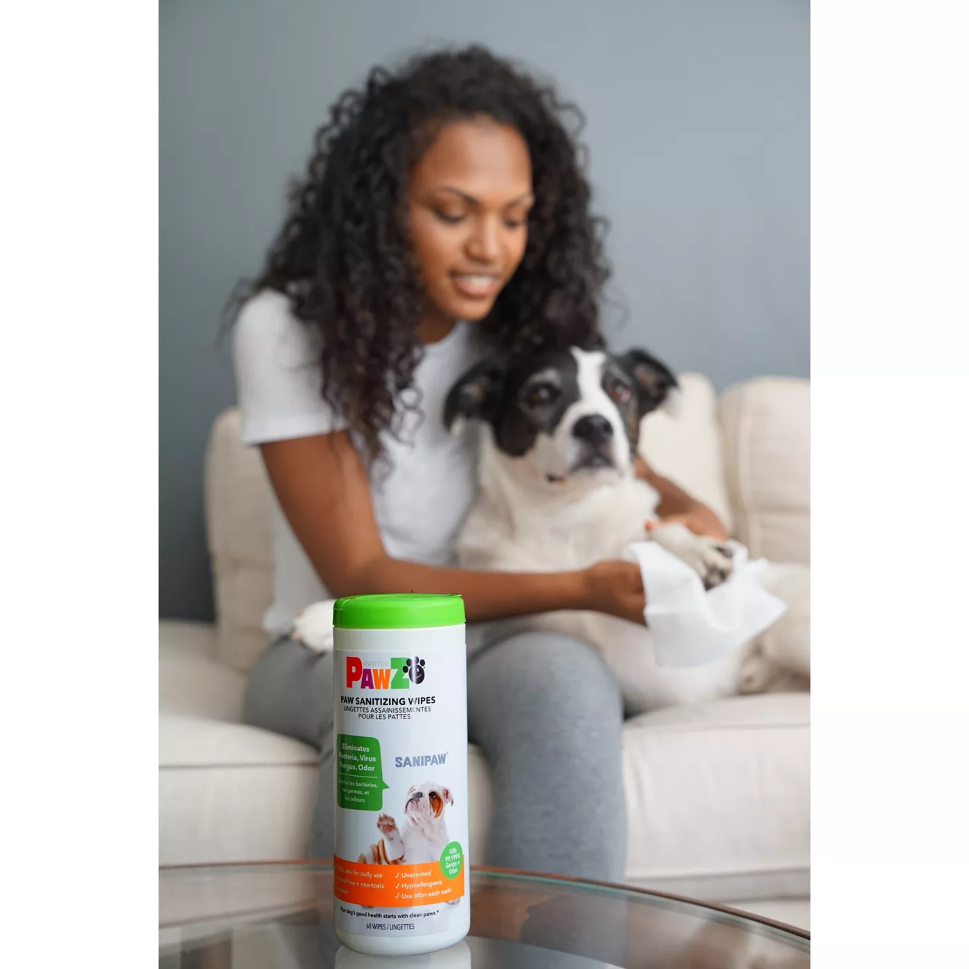 Antibacterial wipes for dogs uti best sale