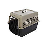 rent dog travel crate