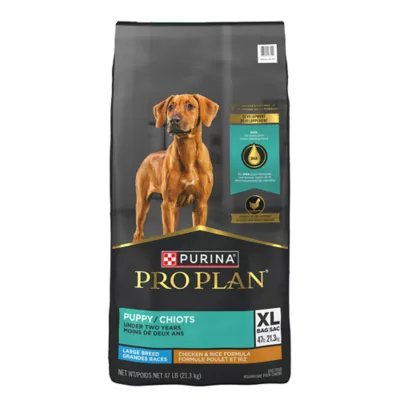 Product Purina Pro Plan Development Large Breed Puppy Dry Dog Food - Chicken & Rice