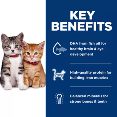 Petsmart science diet kitten best sale