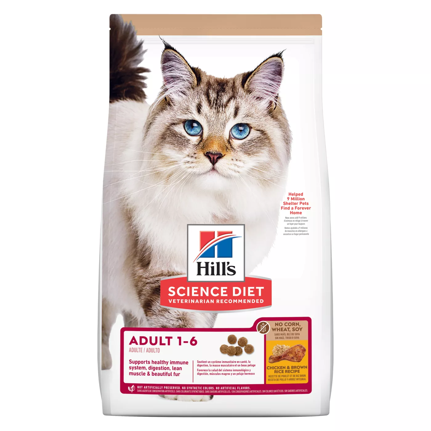 Dry cat food for cats purchases with no teeth