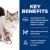 Hill's® Science Diet® No Corn, No Wheat, No Soy Adult Dry Cat Food - Chicken image thumbnail 5