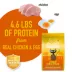 Tiki Cat® Born Carnivore® High Protein Cat & Kitten Food - Non-GMO, Chicken & Egg image thumbnail 4