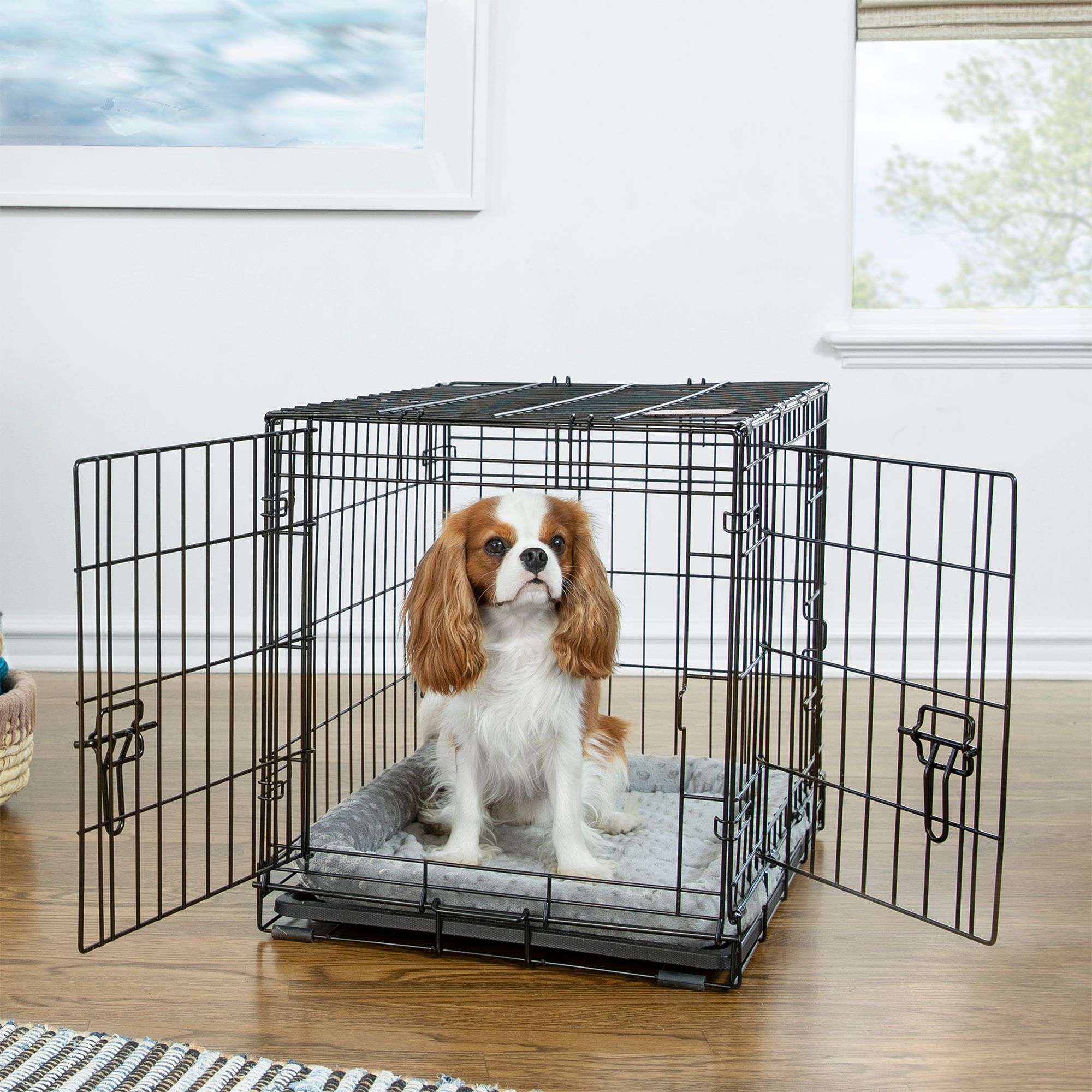 petsmart wire dog crate