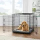 Product Top Paw® Double Door Folding Wire Dog Crate with Divider Panel