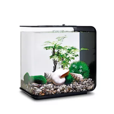 Product biOrb Summer Aquarium Decor Set