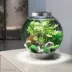 biOrb Summer Aquarium Decor Set image thumbnail 2