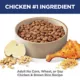 Product Hill's® Science Diet® No Corn, Wheat or Soy Adult Dry Dog Food - Chicken & Brown Rice