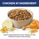 Product Hill's® Science Diet® No Corn, Wheat, or Soy Large Breed Adult Dry Dog Food - Chicken & Brown Rice