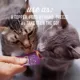 Product Tiki Cat® Stix Lickable Wet Cat Treat -  Grain Free, 6 Ct, 3 Oz