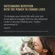 Product Purina Pro Plan LiveClear Sensitive Skin & Stomach Allergen Reducing Adult Dry Cat Food - Turkey