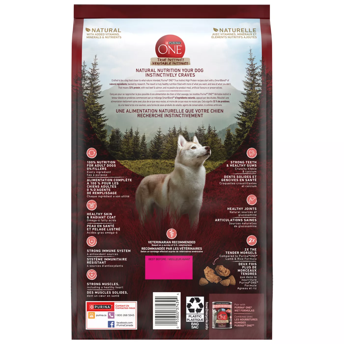 Purina ONE SmartBlend True Instinct Adult Dog Food Beef Salmon