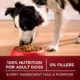 Product Purina ONE SmartBlend True Instinct Adult Dog Food - Beef & Salmon