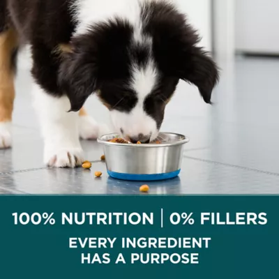 Purina one smart puppy best sale