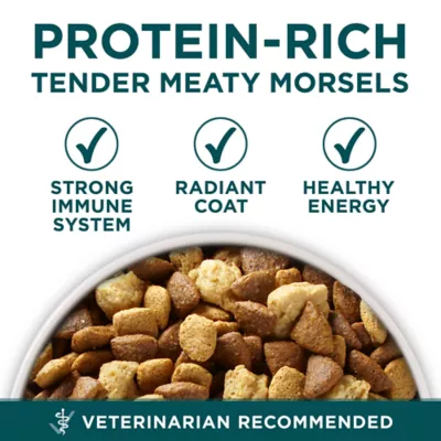 Purina puppy chow healthy morsels hotsell