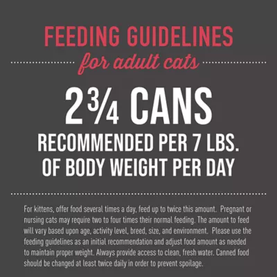 Tiki Cat® Aloha Friends™ Wet Cat Food - Non-GMO, Grain & Potato Free, 3oz - Image 5