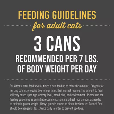 Product Tiki Cat® After Dark™ Wet Cat Food - Non-GMO, Grain & Potato Free, 2.8oz