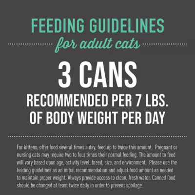 Tiki Cat® After Dark™ Wet Cat Food - Non-GMO, Grain & Potato Free, 2.8oz - Image 5