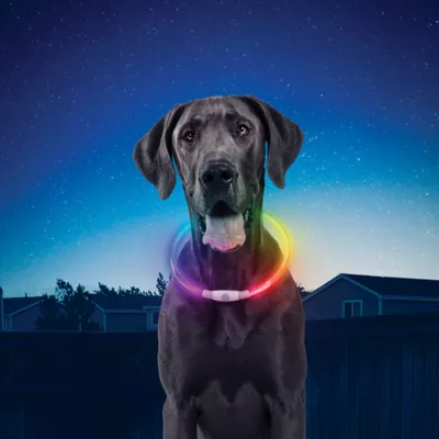 Product Nite Ize® NiteHowl® LED Rechargeable Necklace