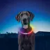 Nite Ize® NiteHowl® LED Rechargeable Necklace image thumbnail 2