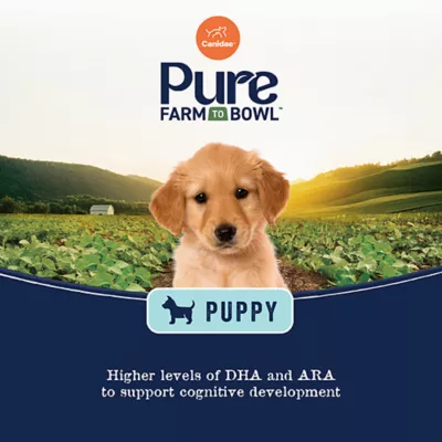 Product Canidae® Pure™ Puppy Dry Dog Food - Limited Ingredient Diet, With-Grain, Salmon & Oats