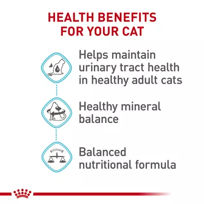 Product Royal Canin® Feline Care Nutrition Urinary Care Adult Dry Cat Food