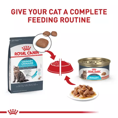 Product Royal Canin® Feline Care Nutrition Urinary Care Adult Dry Cat Food