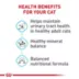 Royal Canin Feline Adult Dry Cat Food Care Nutrition, Urinary Care image thumbnail 4