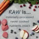 Product Instinct® Raw Boost® Whole Grain Kibble + Freeze-Dried Raw Adult Dry Dog Food - Lamb & Oatmeal