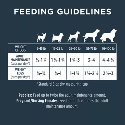 Product Instinct® Raw Boost® Whole Grain Kibble + Freeze-Dried Raw Adult Dry Dog Food - Lamb & Oatmeal