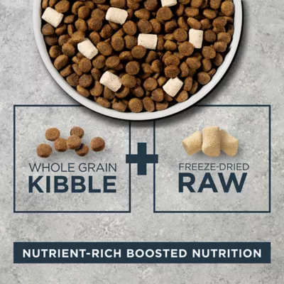 Product Instinct® RawBoost® Whole Grain Kibble + Freeze-Dried Raw All Life Stage Dry Dog Food - Salmon