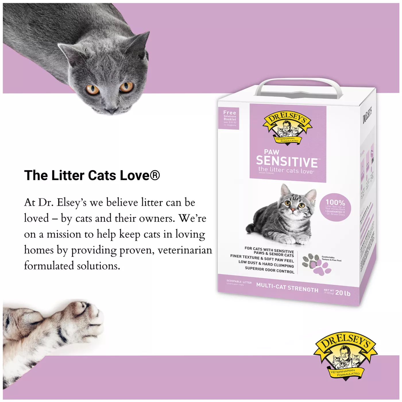 Litter to use after declawing hotsell