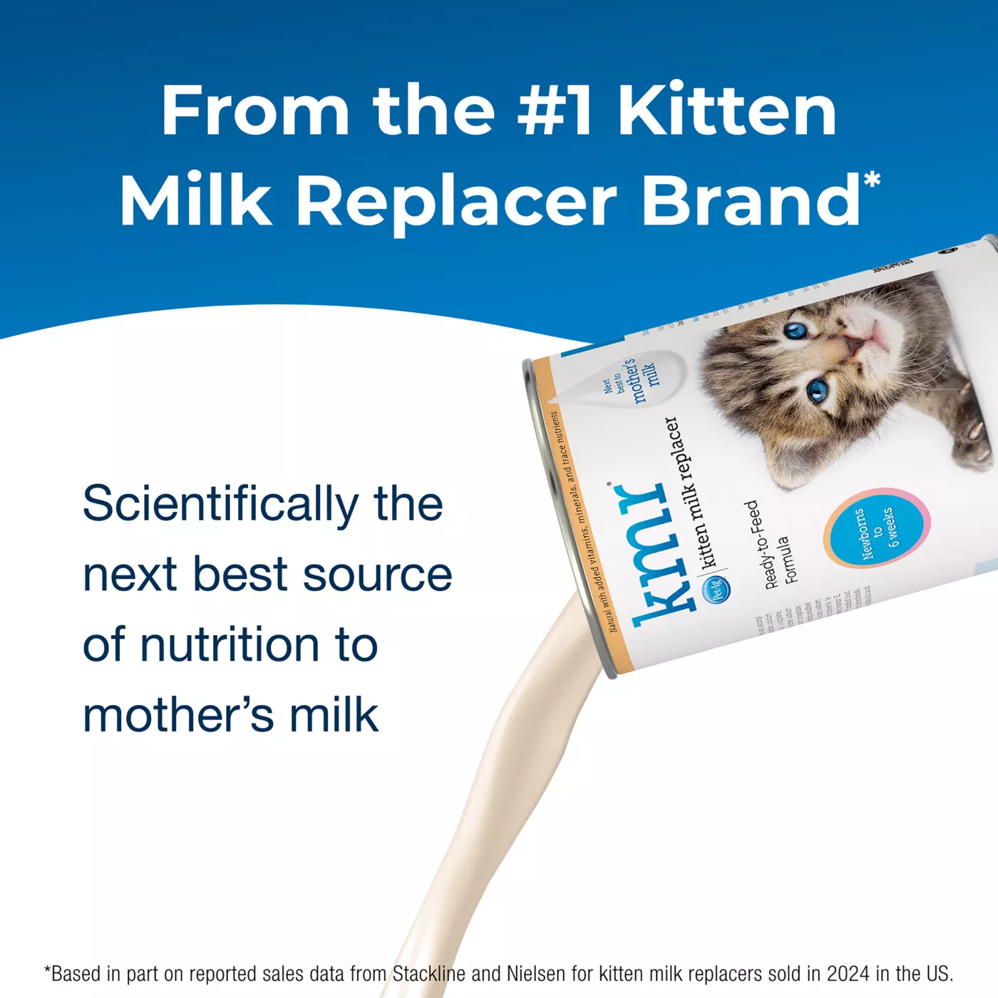 Best kitten milk replacer best sale