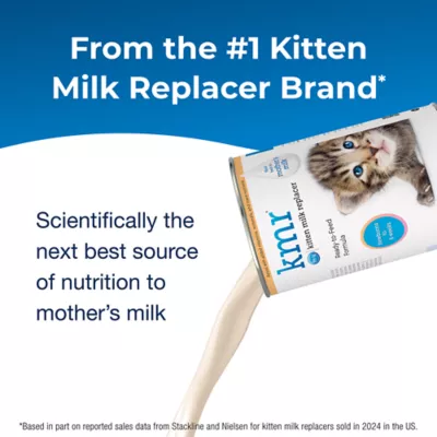 Bear brand milk for kitten hotsell