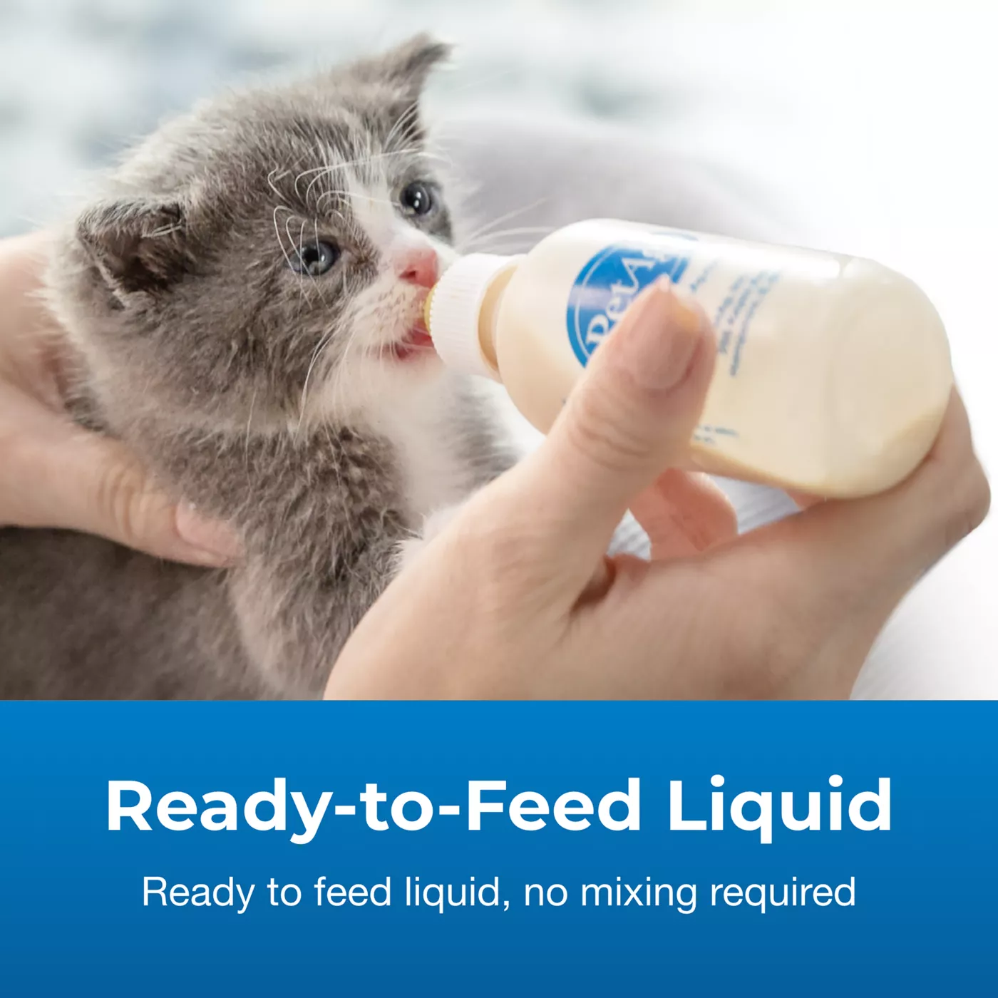 Can store i use baby formula for kittens