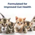 PetAg® KMR® Liquid Kitten Milk Replacer image thumbnail 5