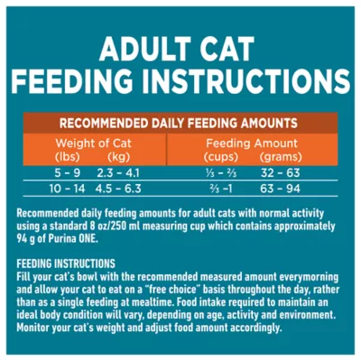 Product Purina ONE Adult Cat Food - Chicken & Rice
