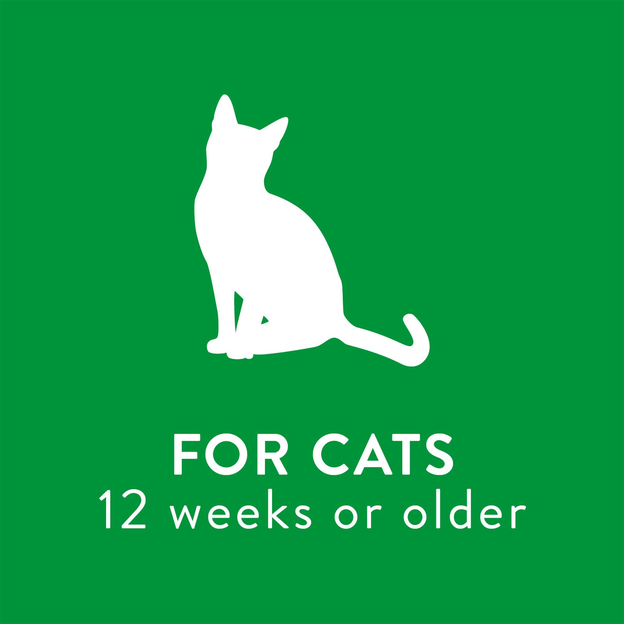 tropiclean waterless cat shampoo