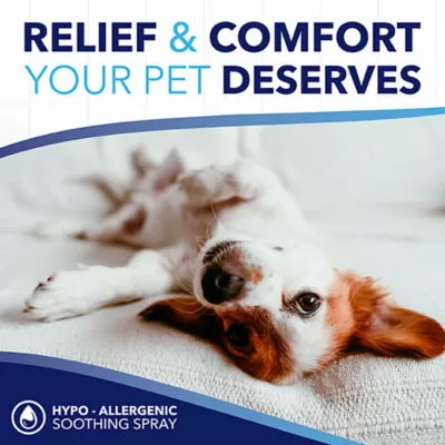 TropiClean® Oxy-Med® Hypo-Allergenic Soothing Dog & Cat Spray - Image 6