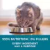 Purina ONE Microbiome Balance Dry Cat Food - Chicken & Rice Formula image thumbnail 4