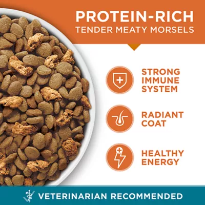 Product Purina ONE Microbiome Balance Dry Cat Food - Chicken & Rice Formula